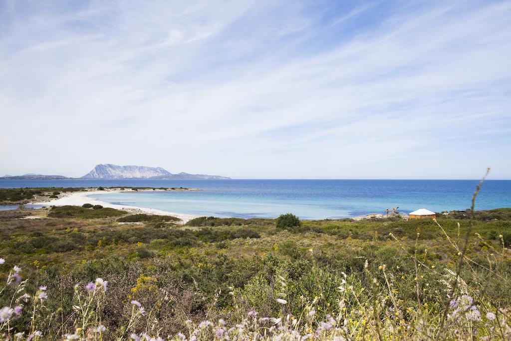 Residence Approdo Verde San Teodoro  Exterior photo